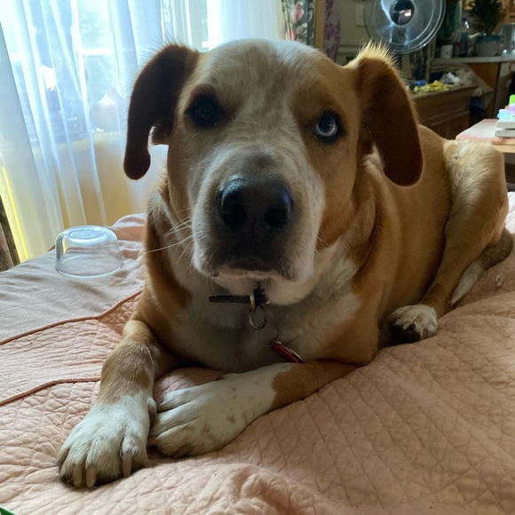 Meet your Posher, Cindy - Picture 7 of 7